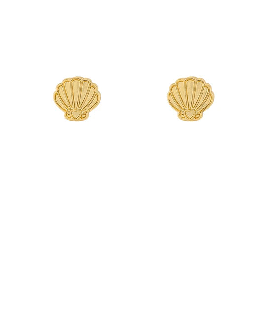 Dainty Shell Studs
