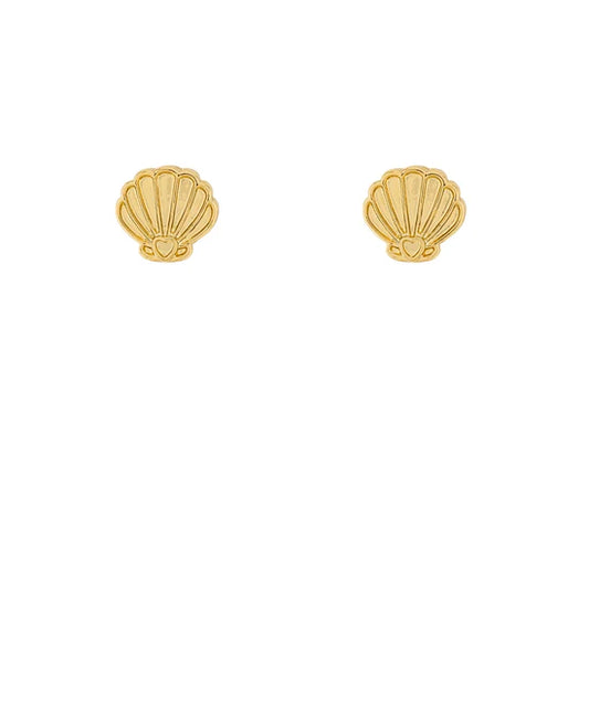 Dainty Shell Studs